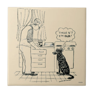 Hund som får äldre kakelplatta