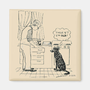 Hund som får äldre magnet