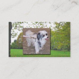 Hund som går visitkorten visitkort