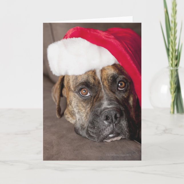 Hund som ha på sig den Santa hatten Helgkort (Framsida)
