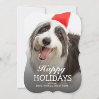 Hund som ha på sig den Santa hatten