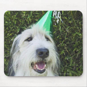 Hund som ha på sig partyhatten musmatta