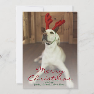 Hund som ha på sig renhorn på kronhjort julkort