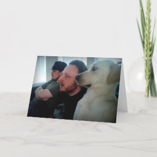 Hund som håller ögonen på med vänner kort