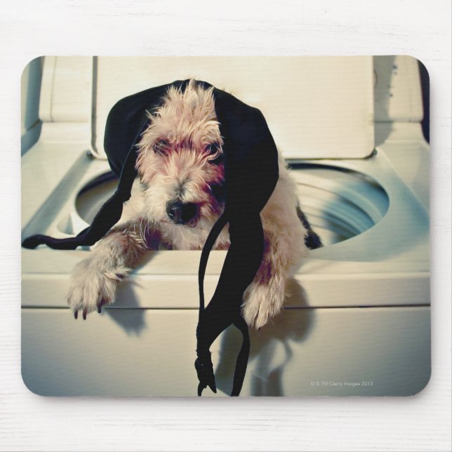 Hund som hjälper dig att tvätta musmatta (Framsidan)