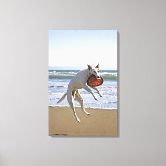 Hund som hoppar för att fånga frisbee på stranden canvastryck