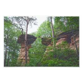 Hund som hoppar från Stand Rock i Wisconsin Dells Fototryck
