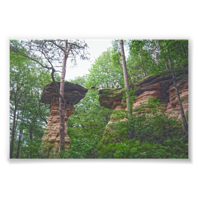 Hund som hoppar från Stand Rock i Wisconsin Dells Fototryck (Framsidan)