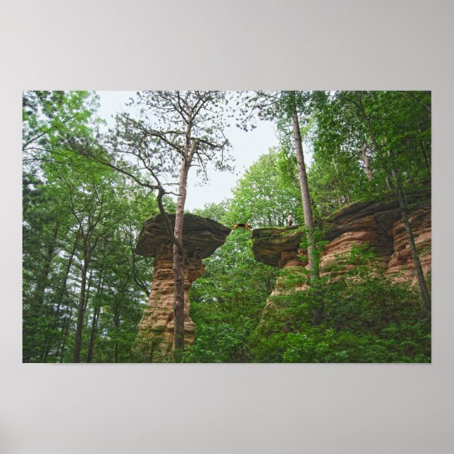 Hund som hoppar från Stand Rock i Wisconsin Dells Poster (Framsidan)
