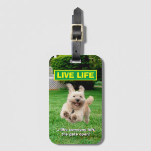 Hund som körs på varv bagagebricka