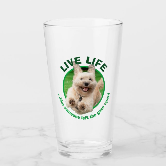 Hund som körs på varv glaskopp (Framsida)