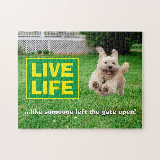 Hund som körs på varv pussel (Horisontell)