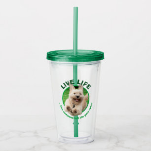 Hund som körs på varv take away mugg