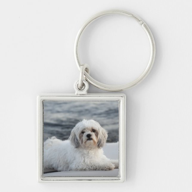 Hund som lägger vid vatten fyrkantig silverfärgad nyckelring (Framsidan)