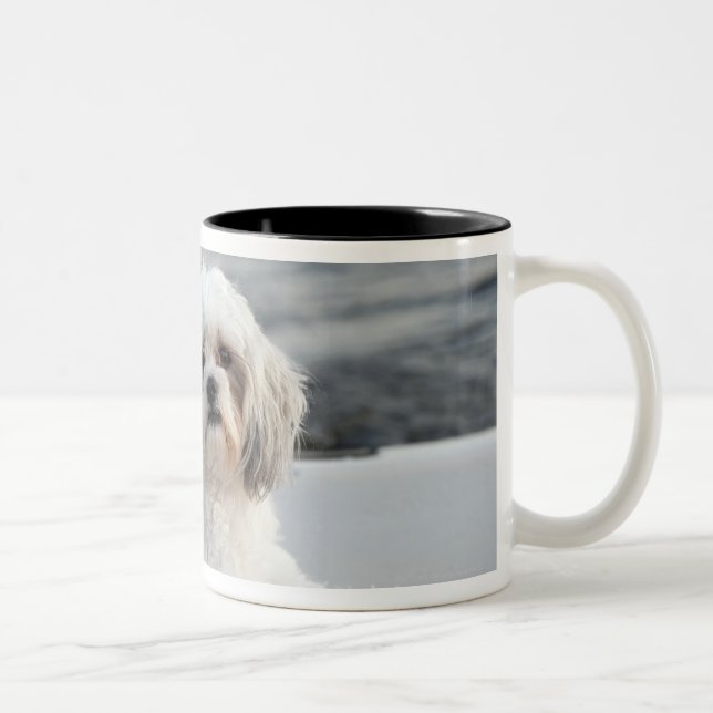 Hund som lägger vid vatten Två-Tonad mugg (Höger)