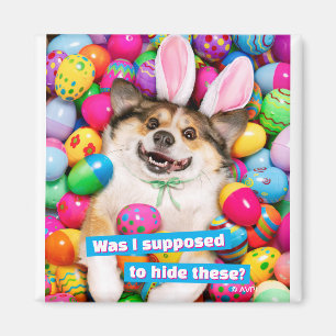 Hund som ligger på påskägg magnet