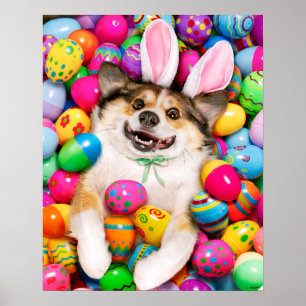 Hund som ligger på påskägg poster