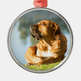 Hund som njuter av morgonsolen julgransprydnad metall