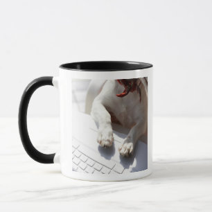 Hund som sätter hans händer på en bärbar dator mugg