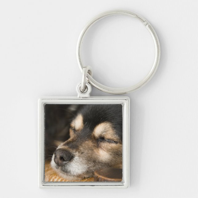 Hund som sovar 2 fyrkantig silverfärgad nyckelring (Framsidan)