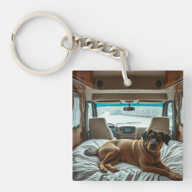 Hund som sover i mysigt husbilsinrederi (Framsidan)