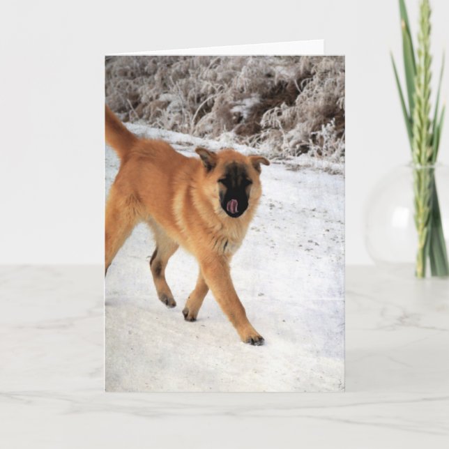Hund som spårades på en Frosty MorgonWalk Kort (Framsida)