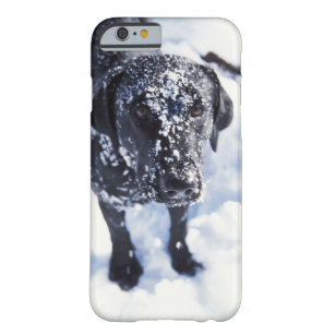 Hund som täckas i snö barely there iPhone 6 fodral