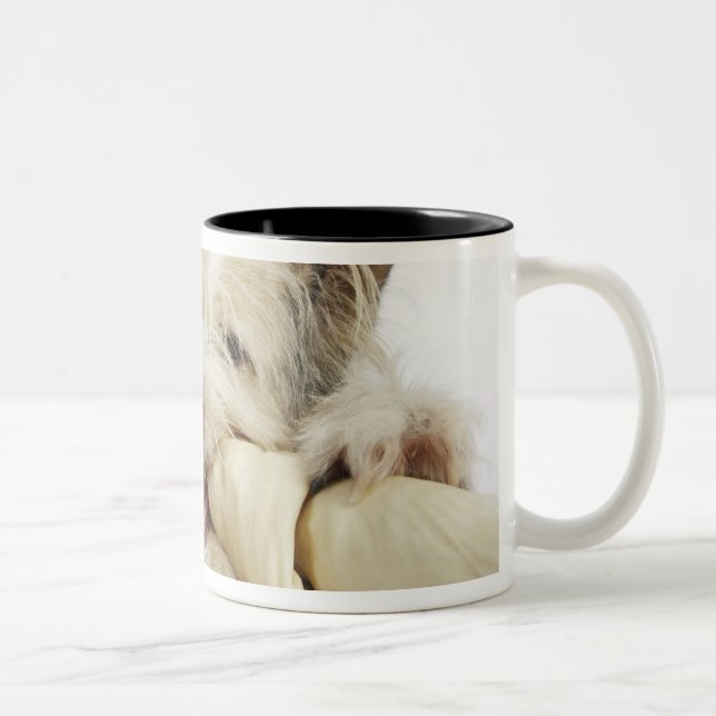 Hund som tuggar på Rawhideben Två-Tonad Mugg (Höger)