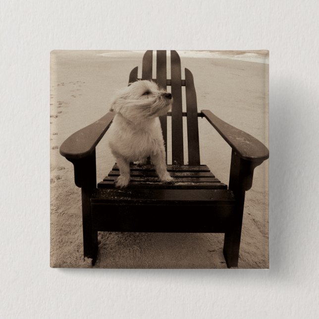 Hund som tycker om stranden knapp (Framsida)