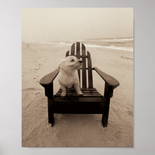 Hund som tycker om stranden poster