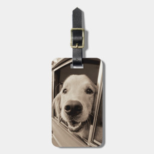 Hund som ut kikar ett bilfönster bagagebricka