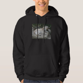 Hund som vilar på en sten hoodie