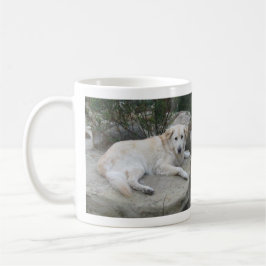 Hund som vilar på en sten kaffemugg