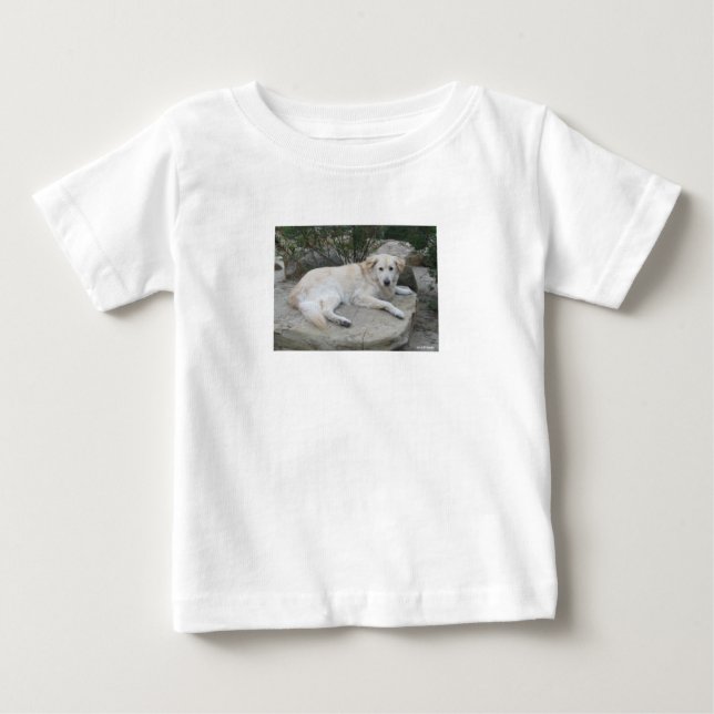 Hund som vilar på en sten t shirt (Framsida)