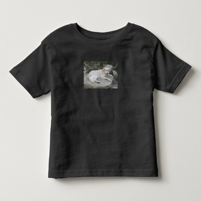 Hund som vilar på en sten t shirt (Framsida)