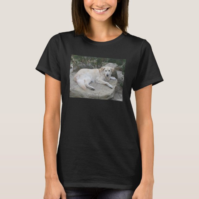 Hund som vilar på en sten t shirt (Framsida)