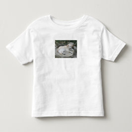 Hund som vilar på en sten t shirt