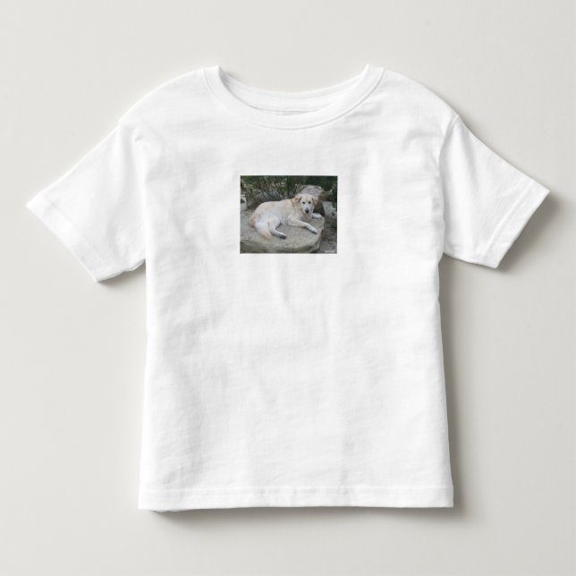 Hund som vilar på en sten t shirt (Framsida)