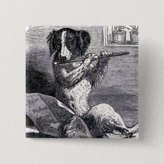 "Hund som vintageillustration leker för flöjten" Knapp