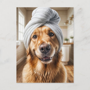 Hund Spa Grooming Vykort