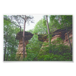 Hund springer från Stand Rock i Wisconsin Dells Fototryck
