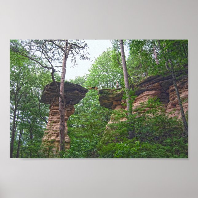 Hund springer från Stand Rock i Wisconsin Dells Poster (Framsidan)