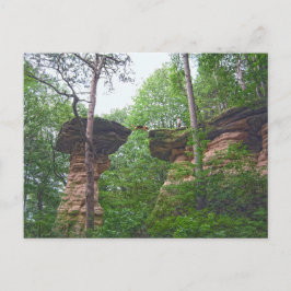 Hund springer från Stand Rock i Wisconsin Dells Vykort