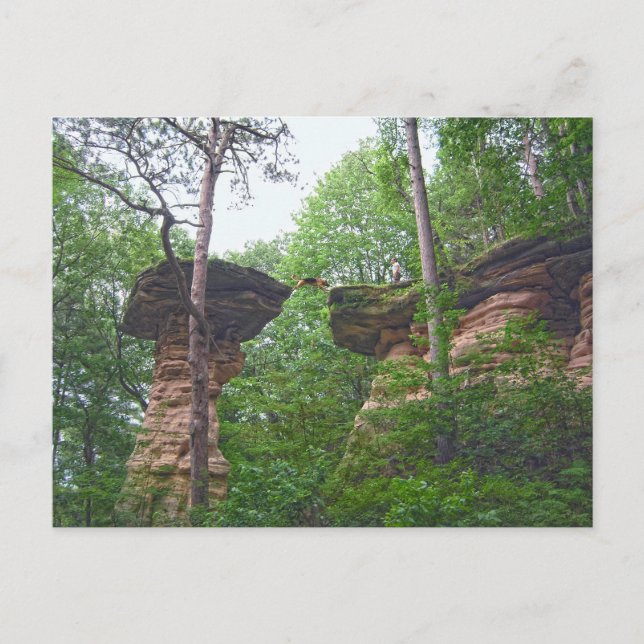 Hund springer från Stand Rock i Wisconsin Dells Vykort (Framsida)