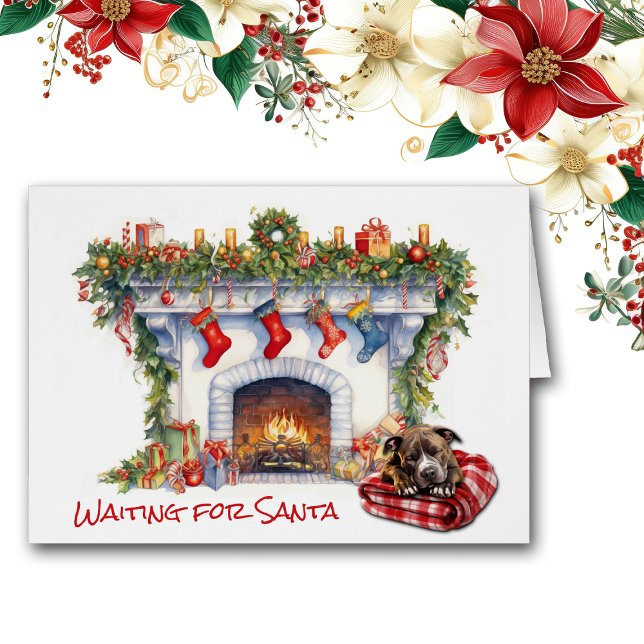 Hund StaffordTerrier väntar på Santa Hälsningskort (Skapare uppladdad)