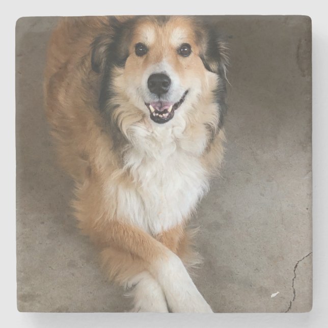 Hund Stenunderlägg (Framsidan)