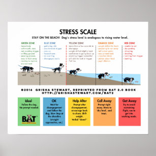 Hund Stressar  - Avoidans/Fear Beach Analogy Poster