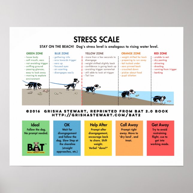Hund Stressar  - Avoidans/Fear Beach Analogy Poster (Framsidan)