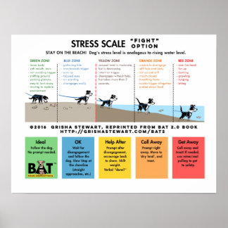 Hund Stressar - Skräm bort - Beach Analogy Poster