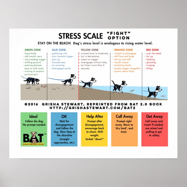Hund Stressar  - Skräm bort - Beach Analogy Poster (Framsidan)